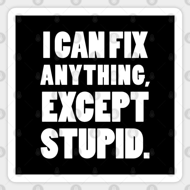 I can fix anything, except stupid. Magnet by mksjr
